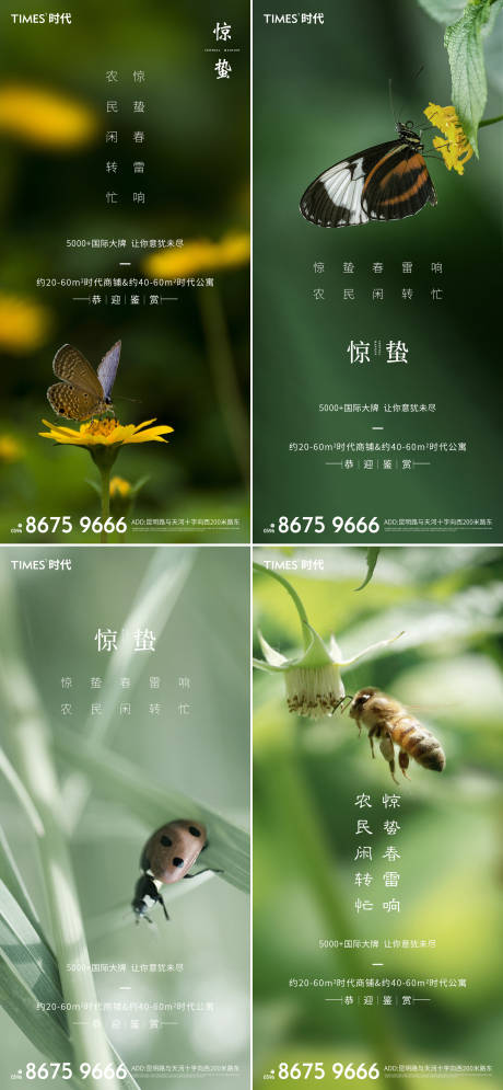 源文件下载【惊蛰节气海报】编号：71570003442221025