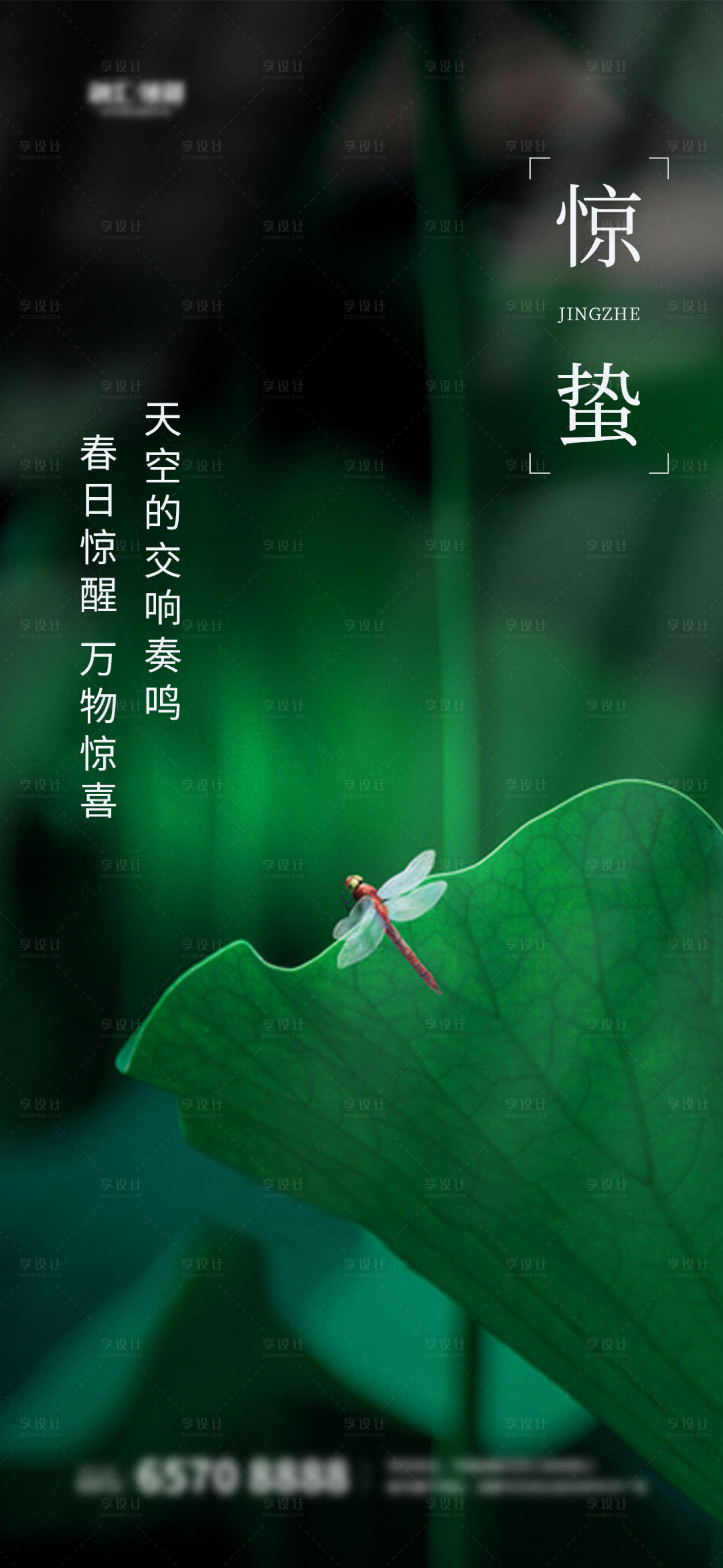 源文件下載【享設計】搜索編號：81430003543179124【驚蟄春天蟲子蜻蜓綠芽海報】