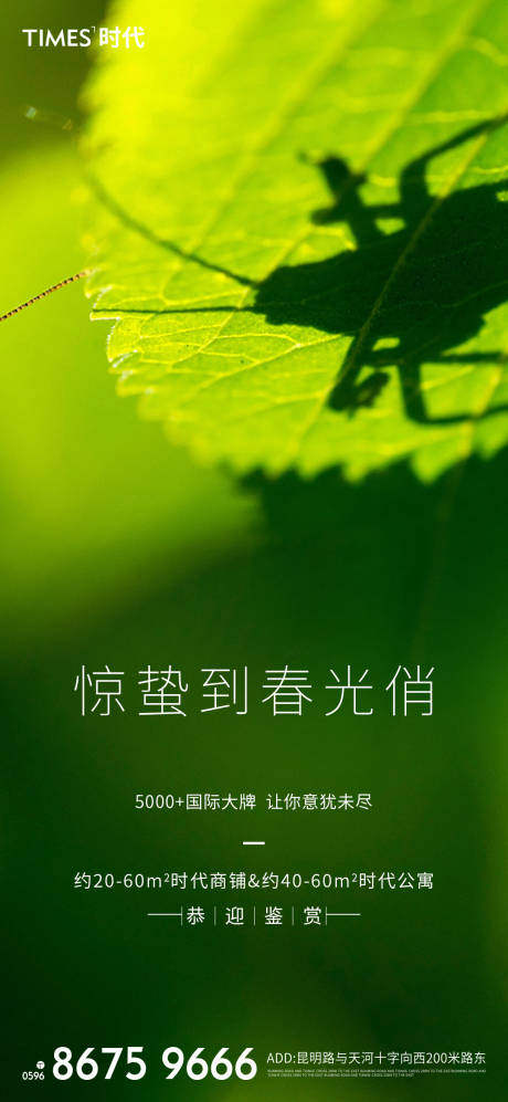 源文件下载【惊蛰 】编号：22830003439611525
