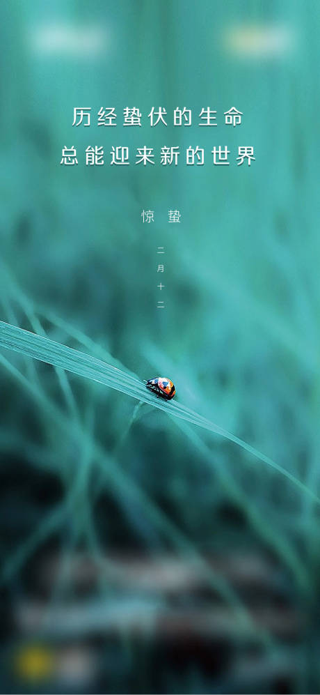 源文件下載【驚蟄節氣海報】編號：70860003537367939