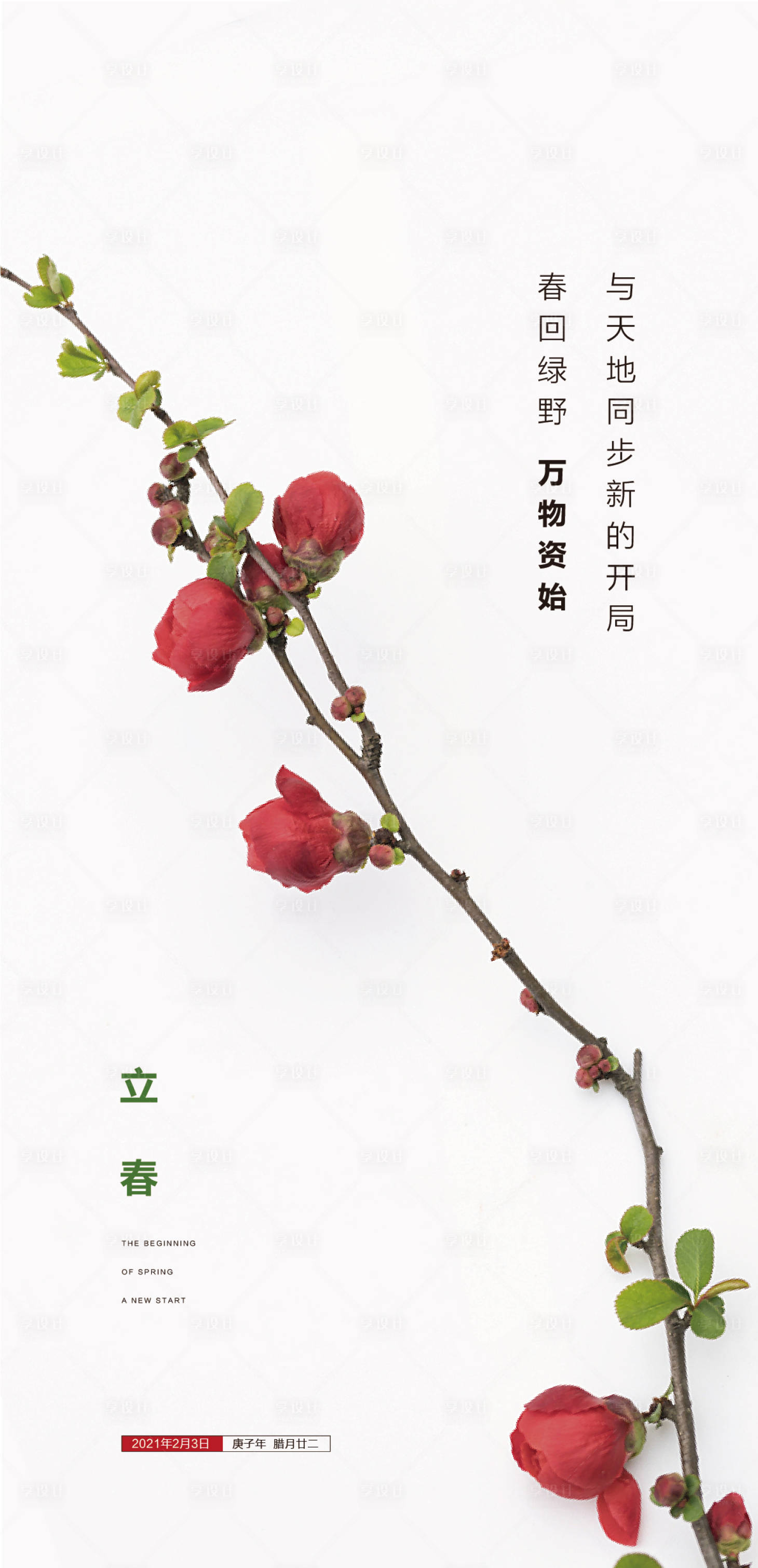 源文件下載【立春 花苞 】編號：36420003445164599