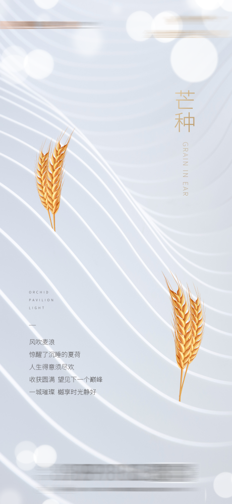 源文件下载【地产节气芒种海报】编号：24970003517562968