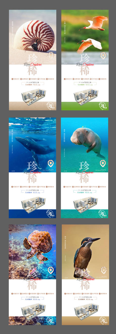 源文件下载【稀有动物海报】编号：57070003507495293