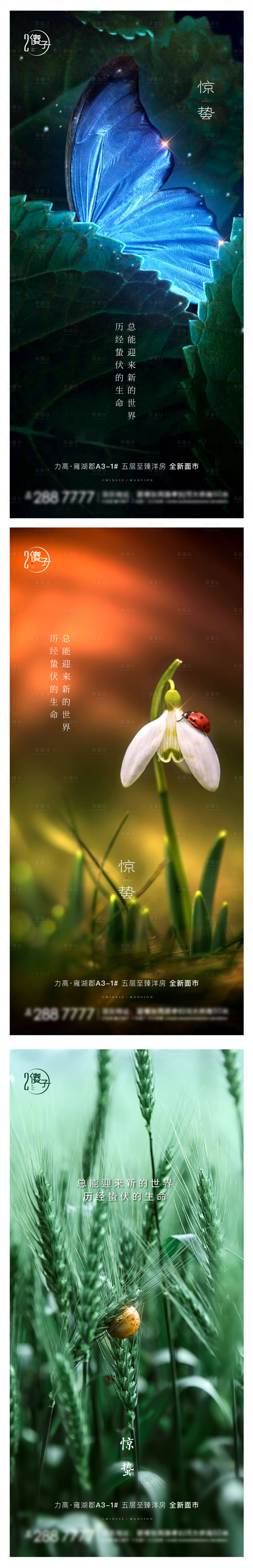 源文件下載【享設計】搜索編號：65160003636582022【驚蟄系列海報】