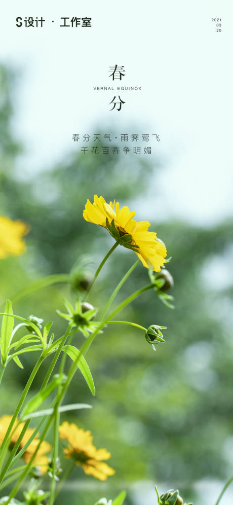 源文件下載【春分海報】編號：77970003583918825