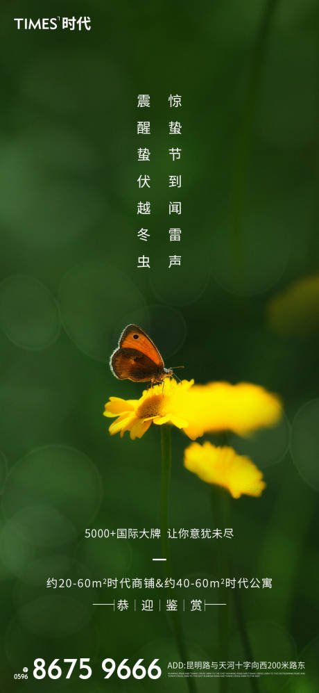 源文件下载【惊蛰 】编号：62720003439643670