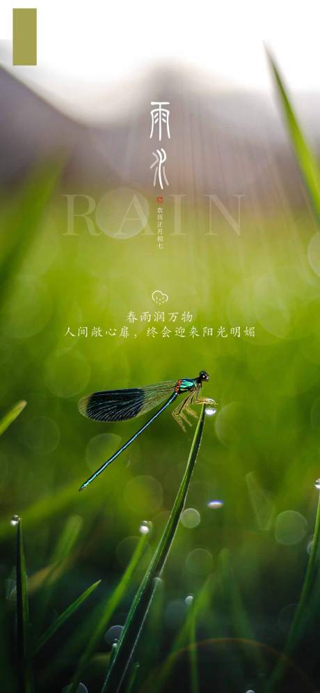 源文件下载【雨水节气海报】编号：94060003617679311