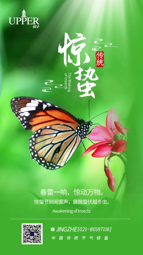 源文件下载【绿色惊蛰节气移动端海报 】编号：84070003640445493