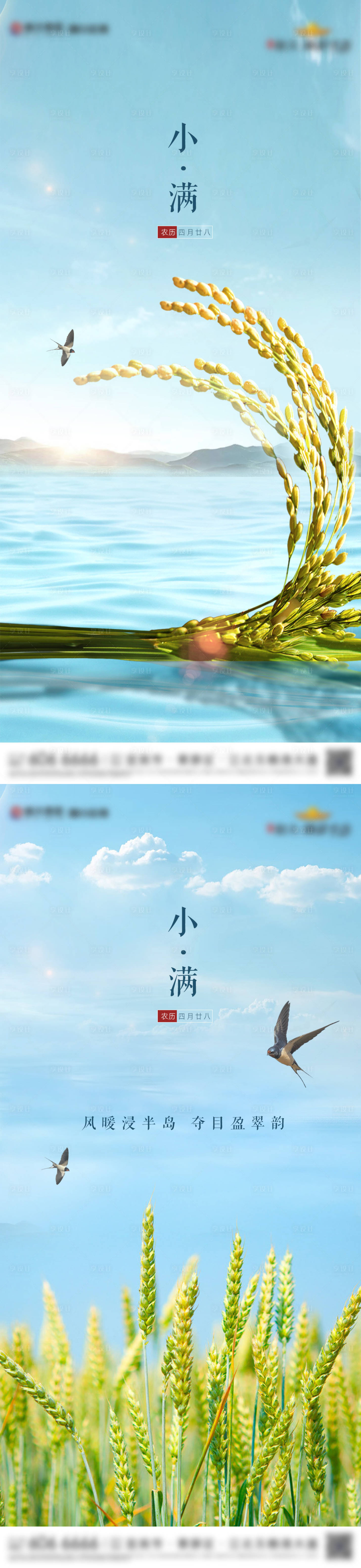 源文件下载【地产小满节气系列海报】编号：49680003615917204