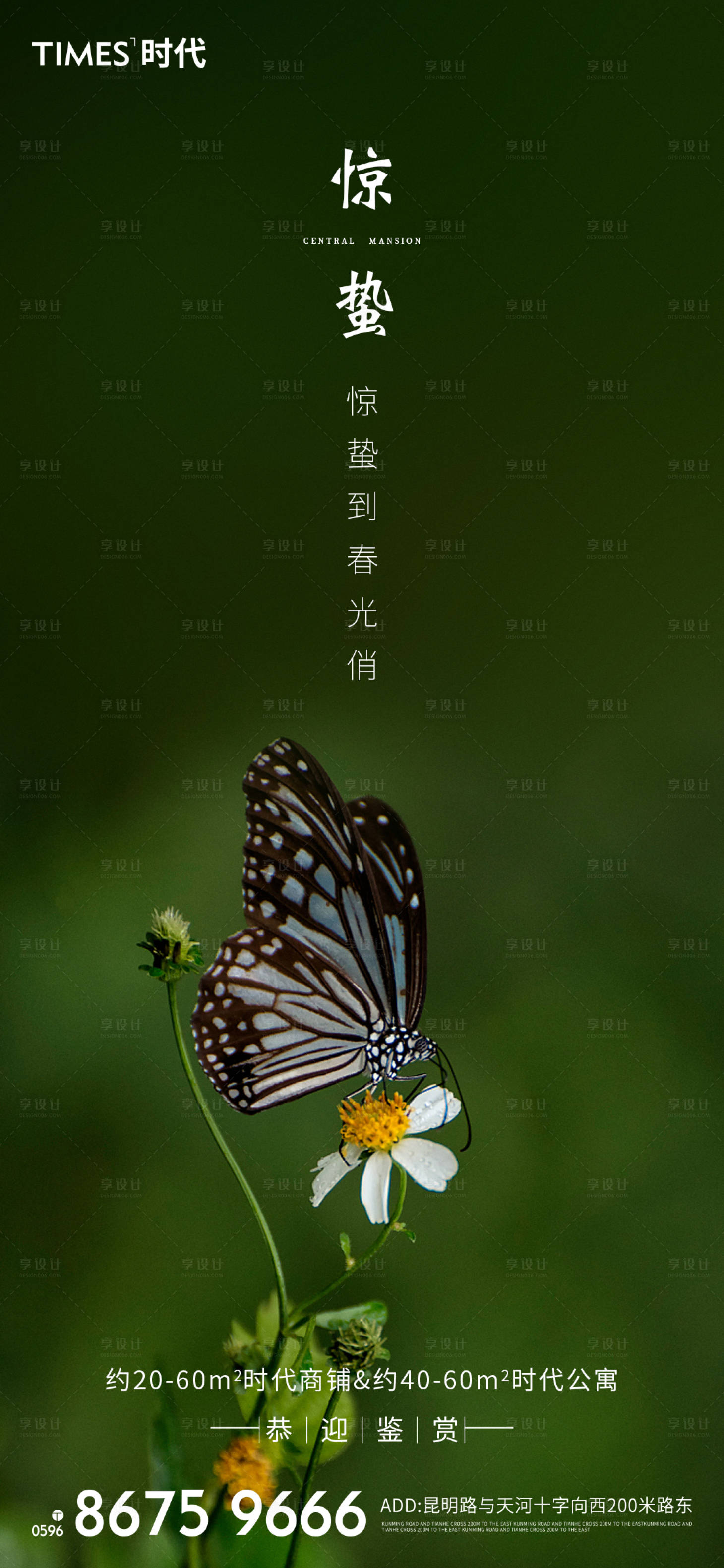源文件下载【惊蛰节气海报】编号：61190003439697127
