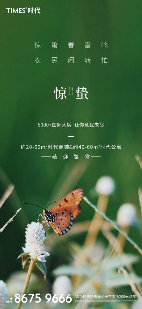 源文件下載【享設計】搜索編號：17380003441924172【驚蟄海報】