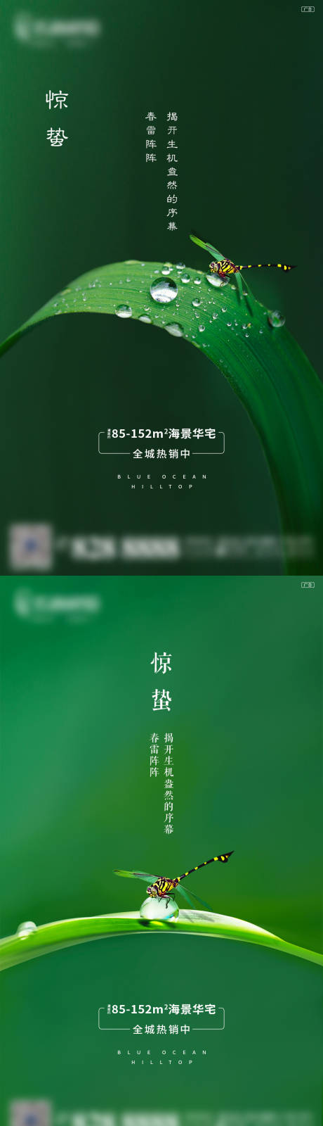源文件下載【享設(shè)計(jì)】搜索編號(hào)：48200003588247366【驚蟄節(jié)氣海報(bào)系列】