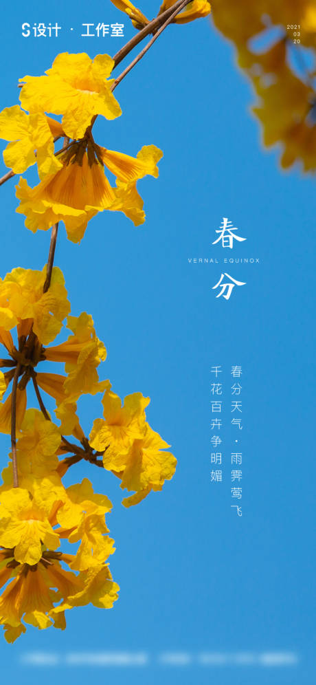 源文件下载【享设计】搜索编号：75890003583904784【春分节气海报】