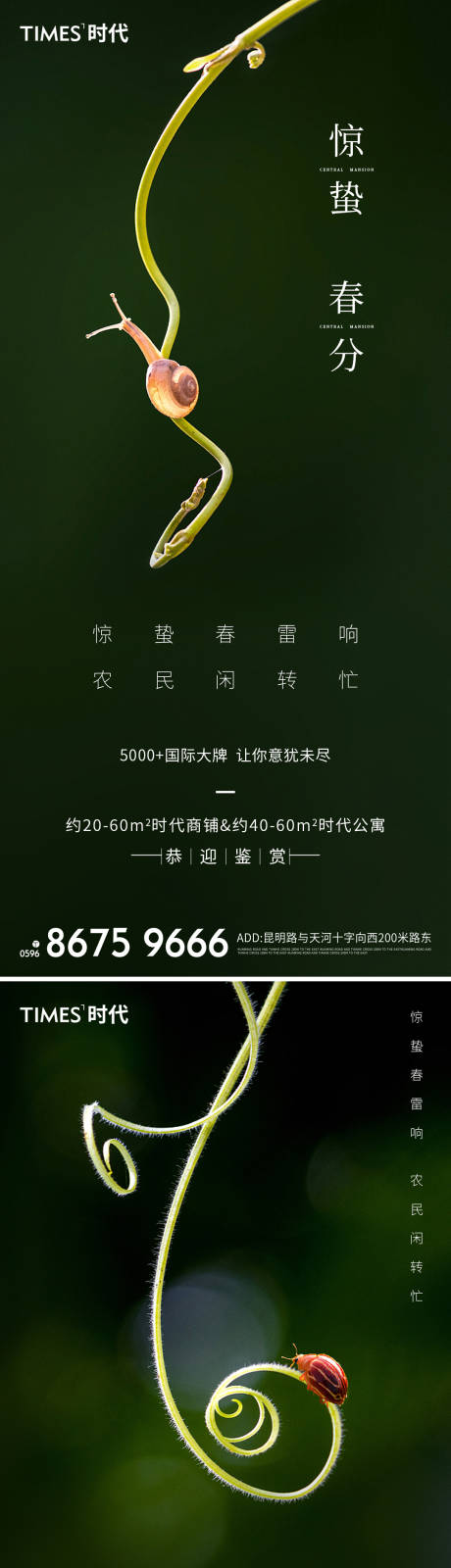 源文件下载【享设计】搜索编号：98050003443931112【惊蛰春分】