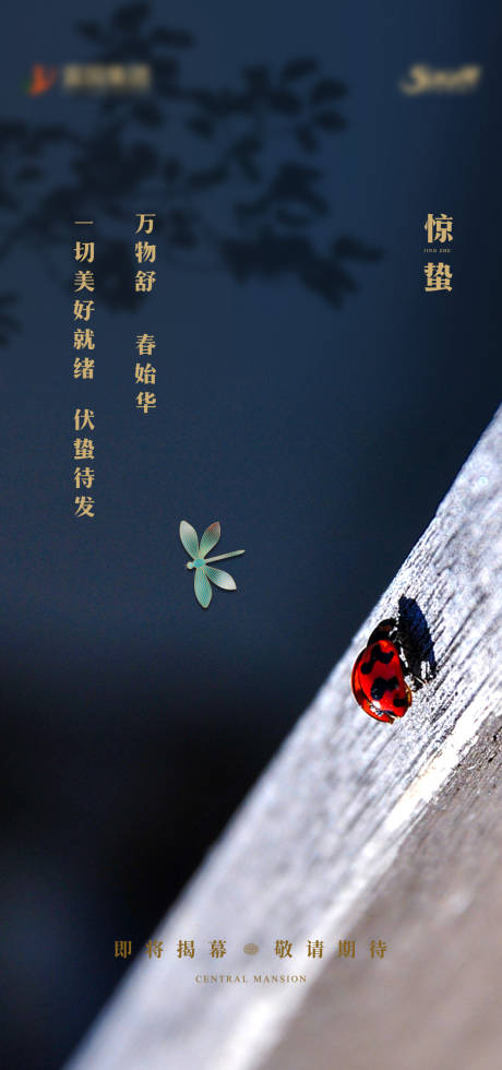 源文件下载【惊蛰节气海报】编号：36000003603856815