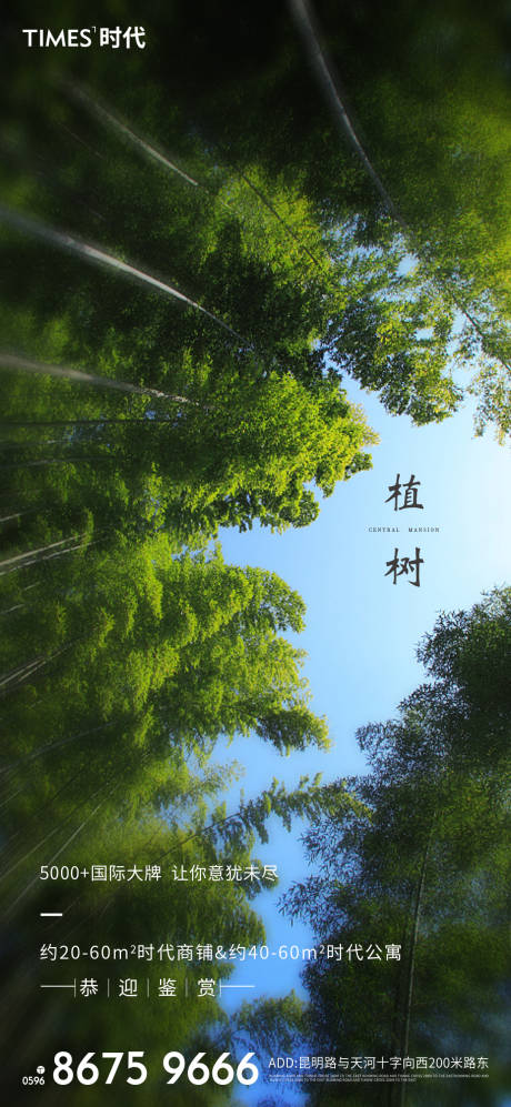 源文件下載【享設計】搜索編號：16910003647842553【植樹節海報】