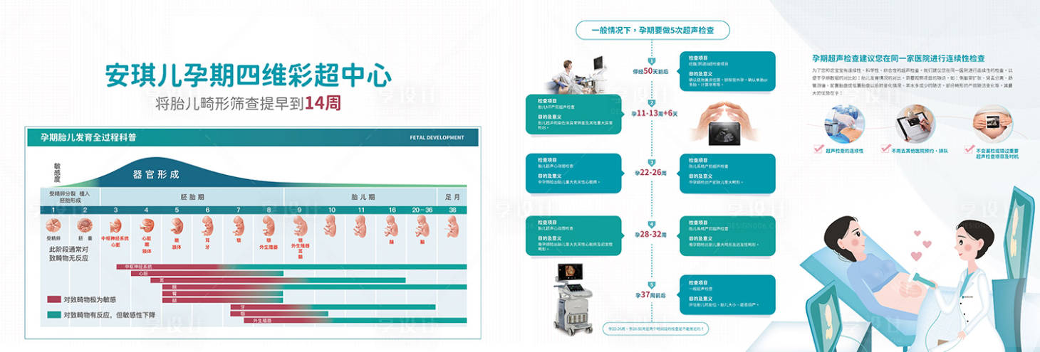 源文件下载【B超简介宣传海报】编号：20210220141616830