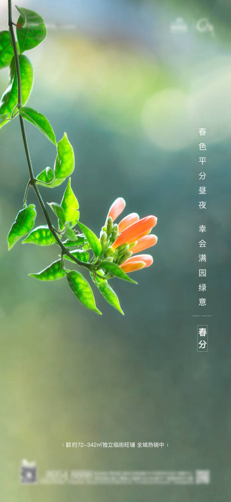 源文件下載【春分節(jié)氣移動(dòng)端海報(bào)】編號(hào)：90740003491154817