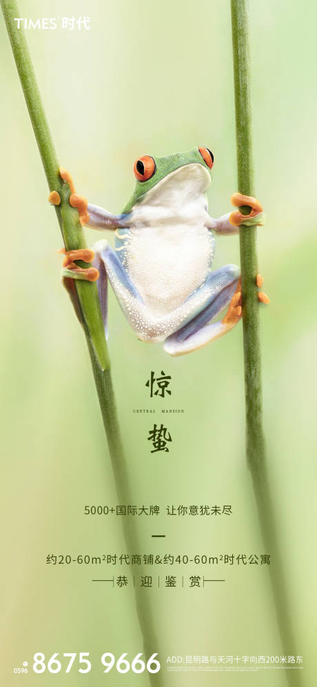 源文件下載【享設計】搜索編號：94140003579009576【驚蟄海報】