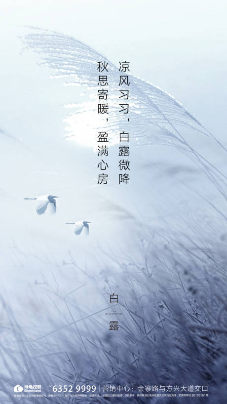 源文件下载【地产白露】编号：64640003444146431