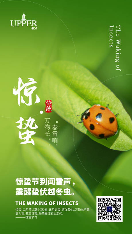 源文件下载【惊蛰节气移动端海报 】编号：99420003640457951