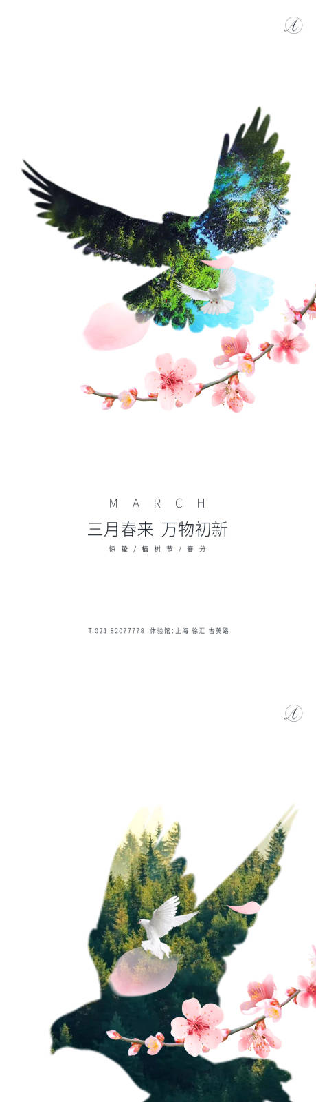 源文件下載【驚蟄植樹春分秀稿】編號：30610003619841605