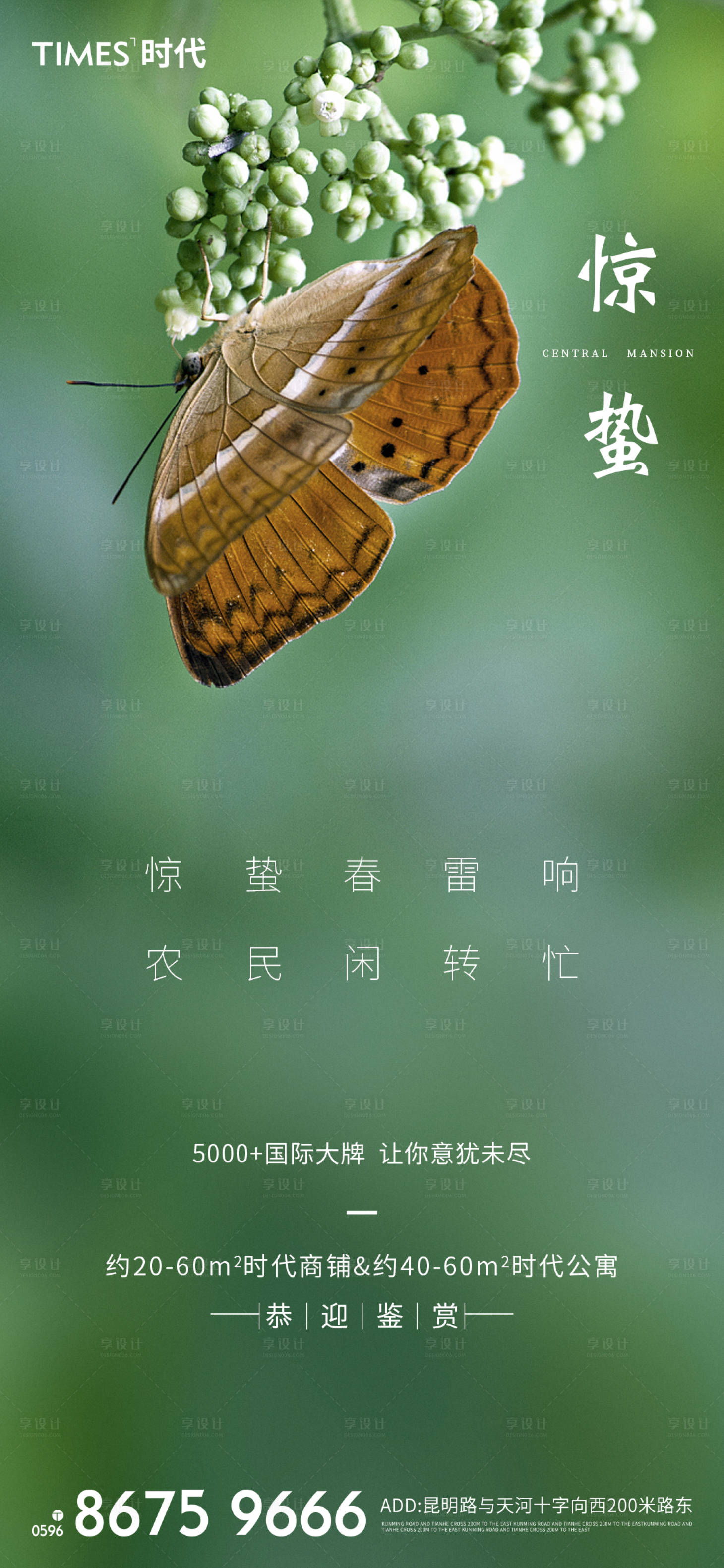 源文件下载【享设计】搜索编号：56020003441978785【惊蛰海报】
