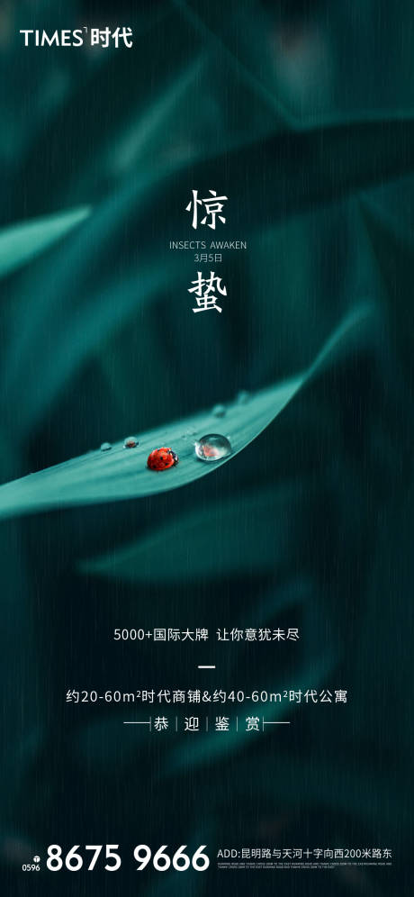 源文件下载【惊蛰海报】编号：27300003571644629