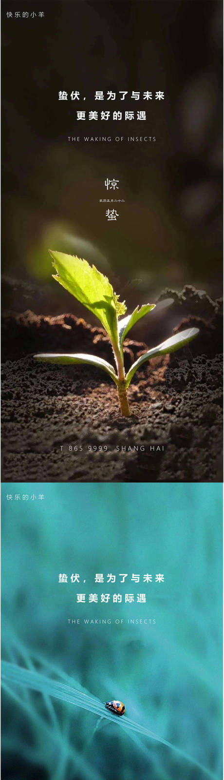 源文件下載【驚蟄節(jié)氣海報】編號：99280003649735146