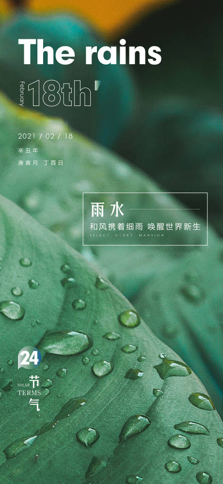 源文件下载【雨水海报】编号：24970003526364982