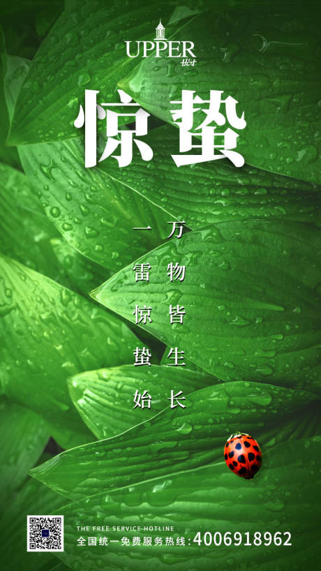 源文件下载【中国传统惊蛰节气手机海报】编号：40020003631777203