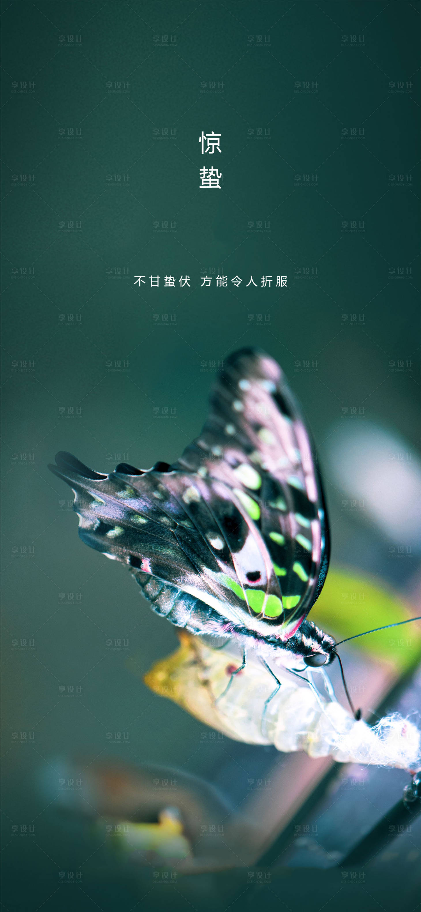 源文件下载【享设计】搜索编号：16780003564614337【惊蛰节气海报】