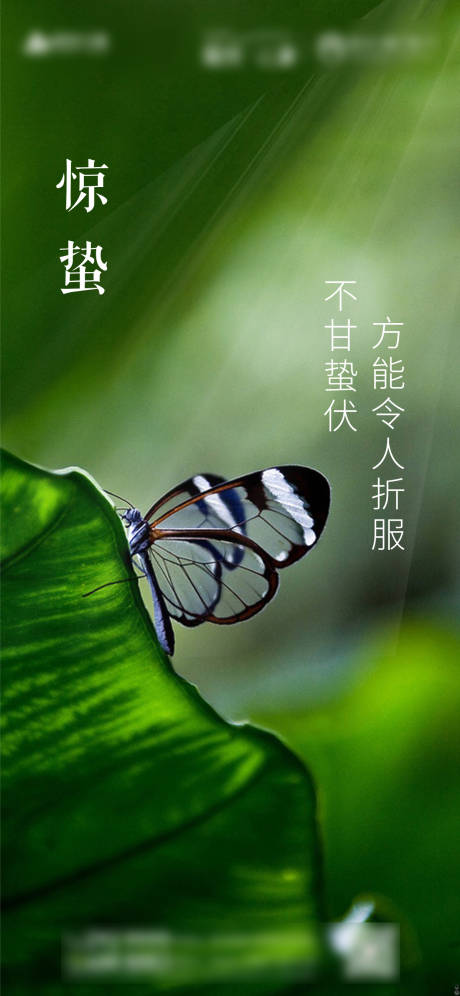 源文件下載【享設(shè)計(jì)】搜索編號(hào)：81150003611886421【驚蟄海報(bào)】