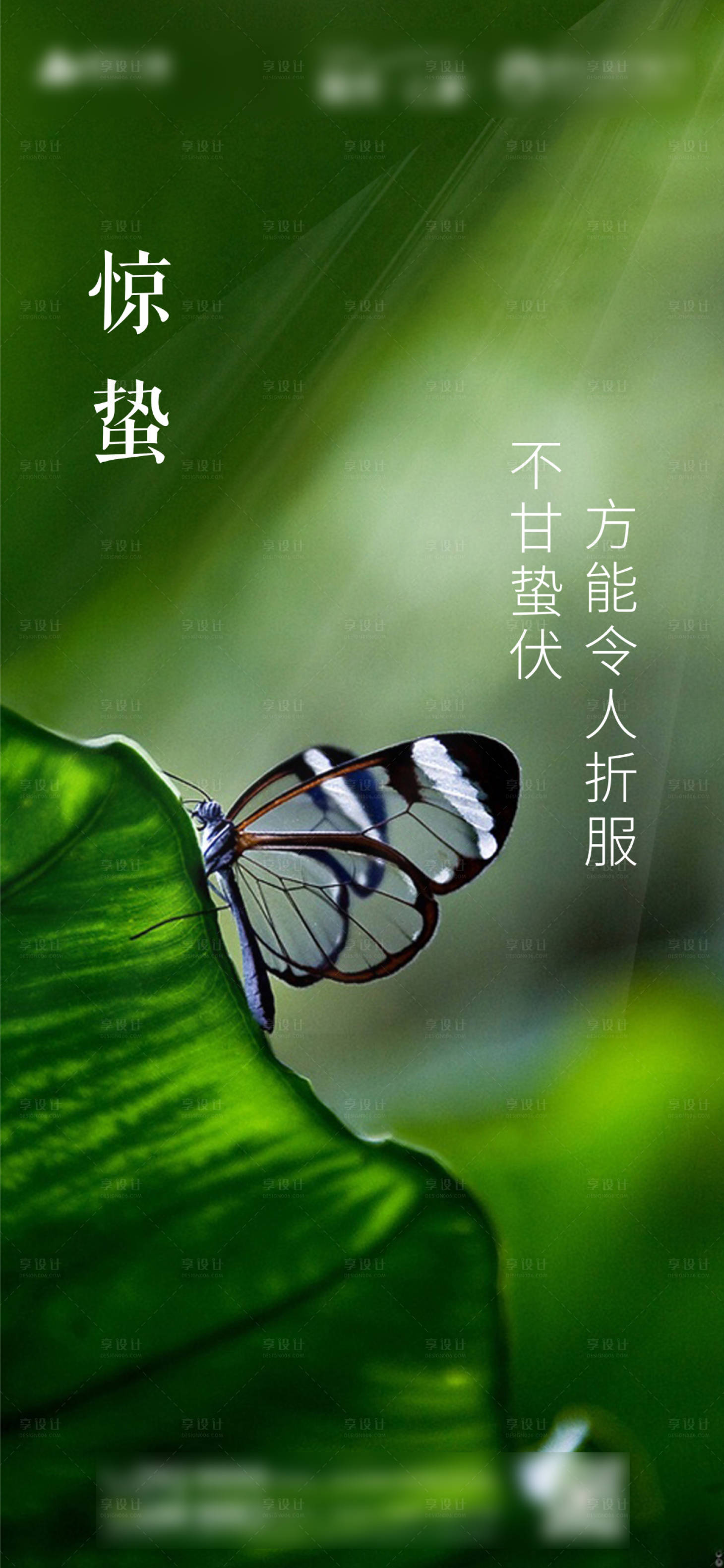 源文件下載【享設(shè)計】搜索編號：81150003611886421【驚蟄海報】