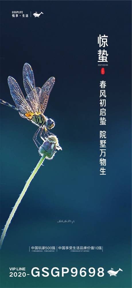 源文件下载【惊蛰海报】编号：56670003611711361