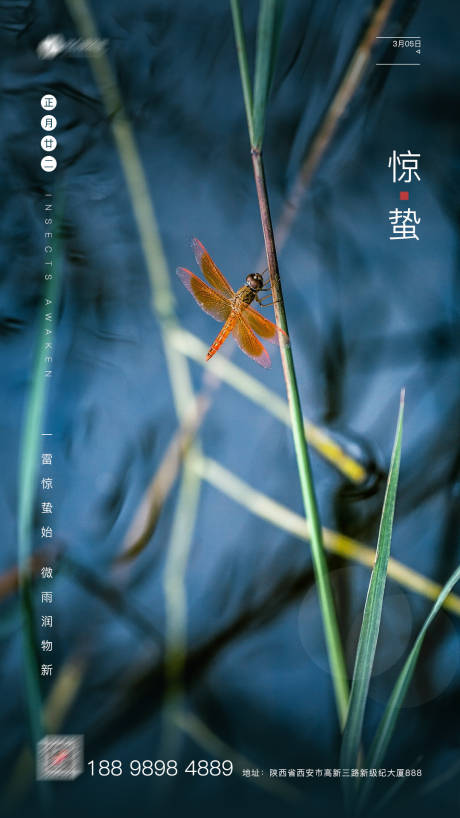 源文件下載【驚蟄海報】編號：26420003633372867