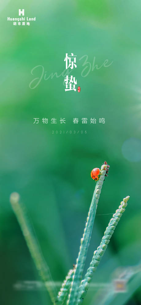 源文件下載【地產驚蟄海報】編號：35580003540233996