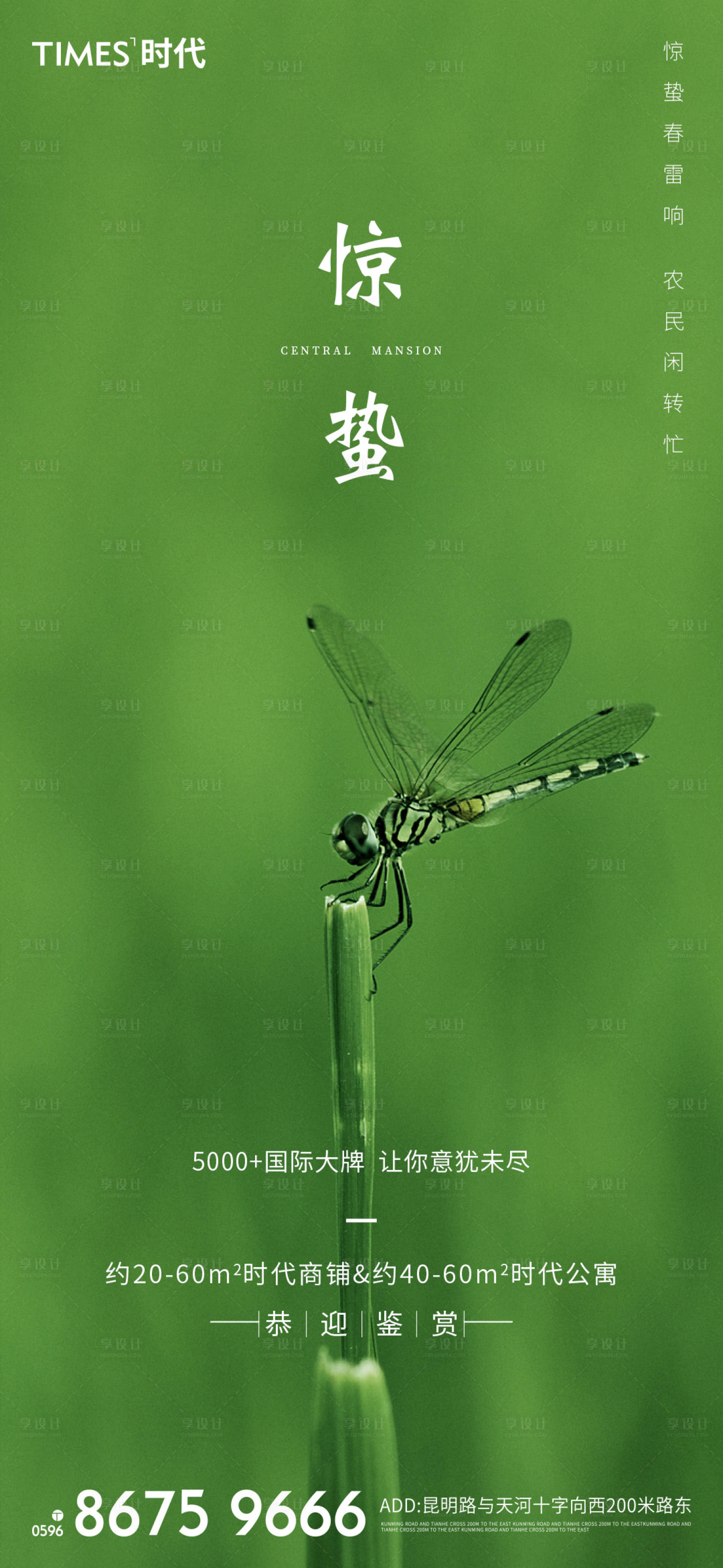 源文件下載【享設(shè)計(jì)】搜索編號(hào)：97030003439673419【驚蟄節(jié)氣移動(dòng)端海報(bào)】