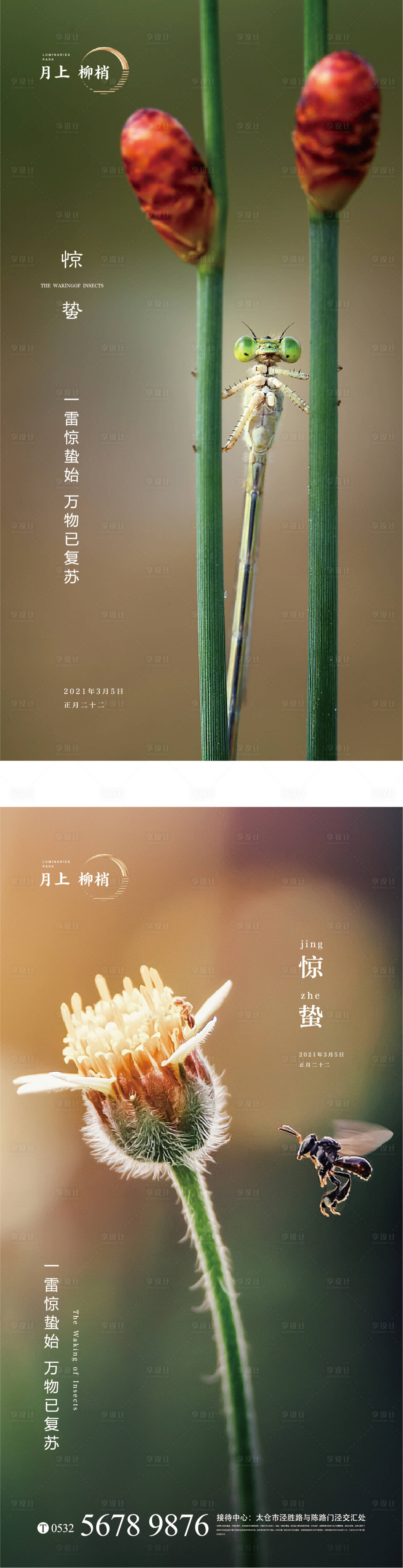 源文件下载【享设计】搜索编号：66490003542209172【惊蛰节气系列海报】