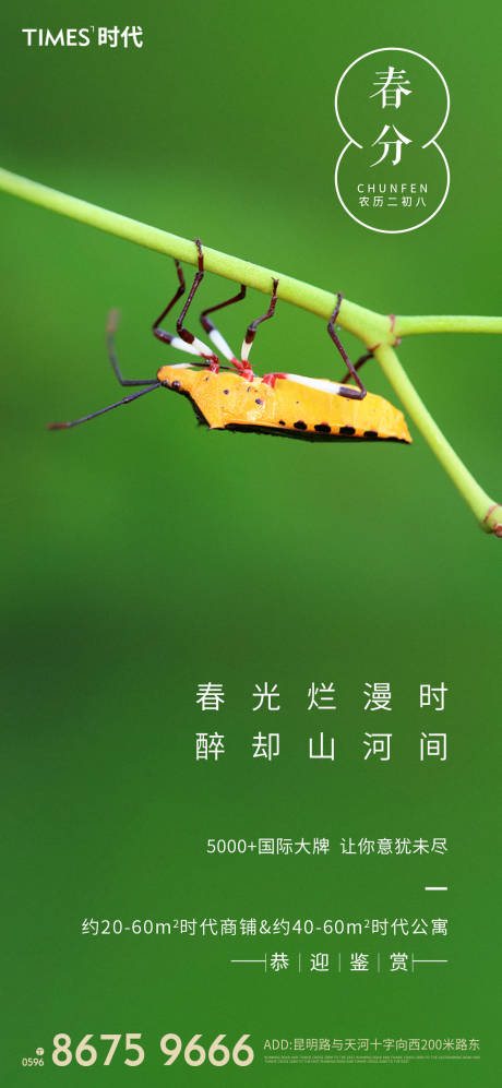 源文件下載【地產春分節氣海報 】編號：77050003762674598