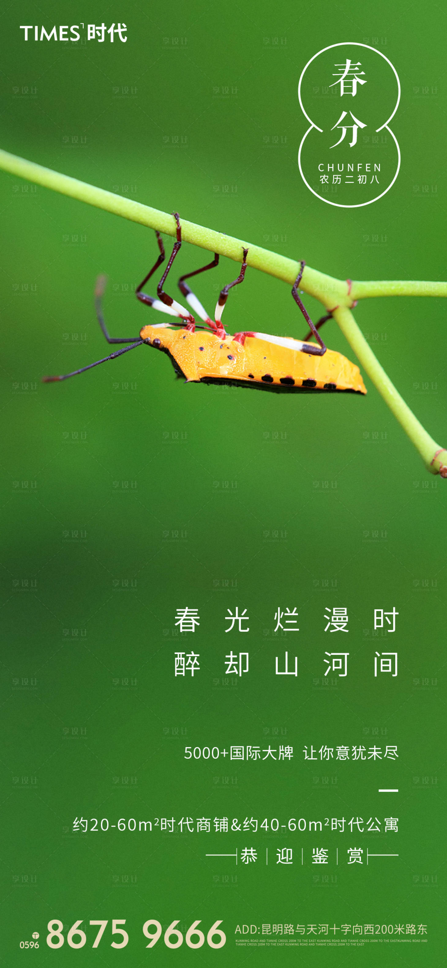 源文件下載【享設計】搜索編號：77050003762674598【地產春分節氣海報 】
