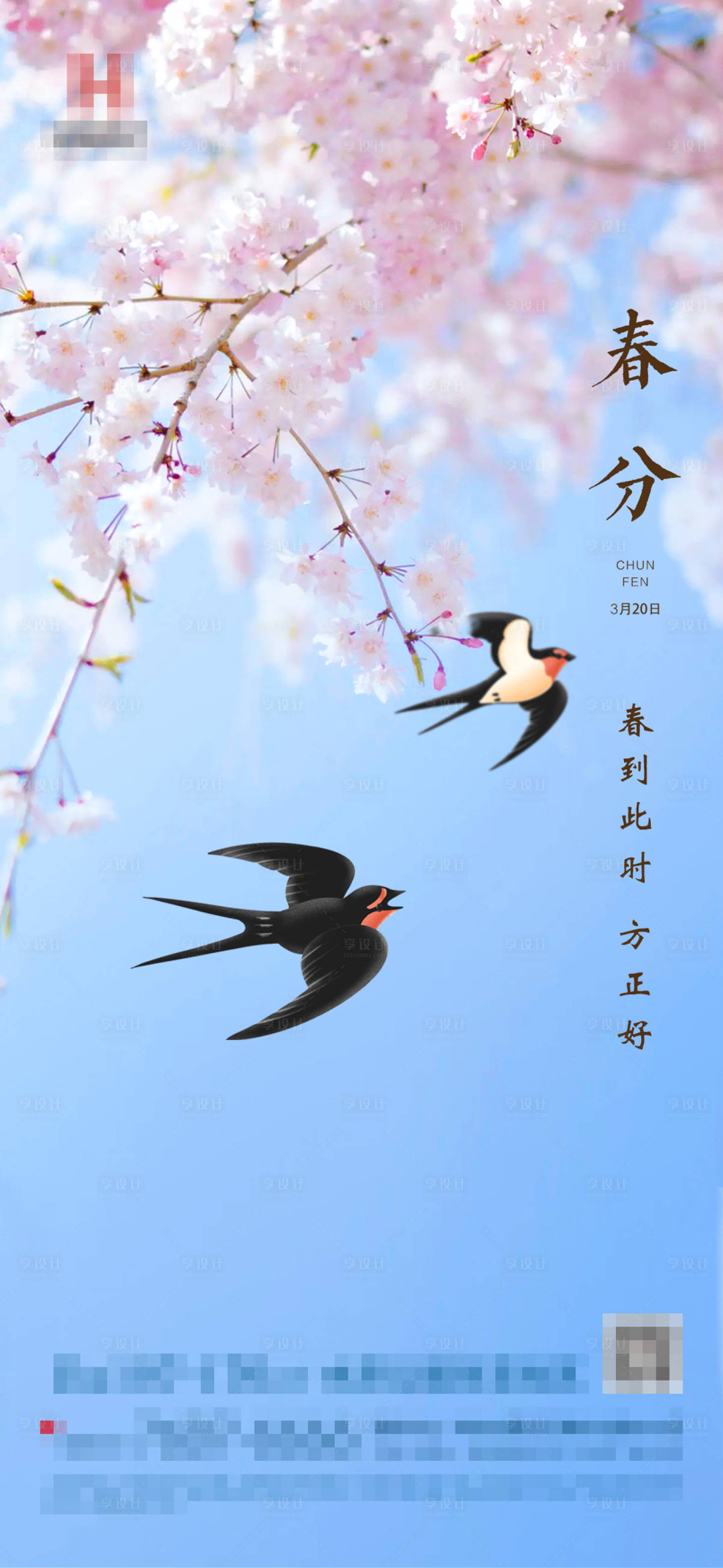 源文件下载【享设计】搜索编号：44130003778768658【春分节气微信海报】