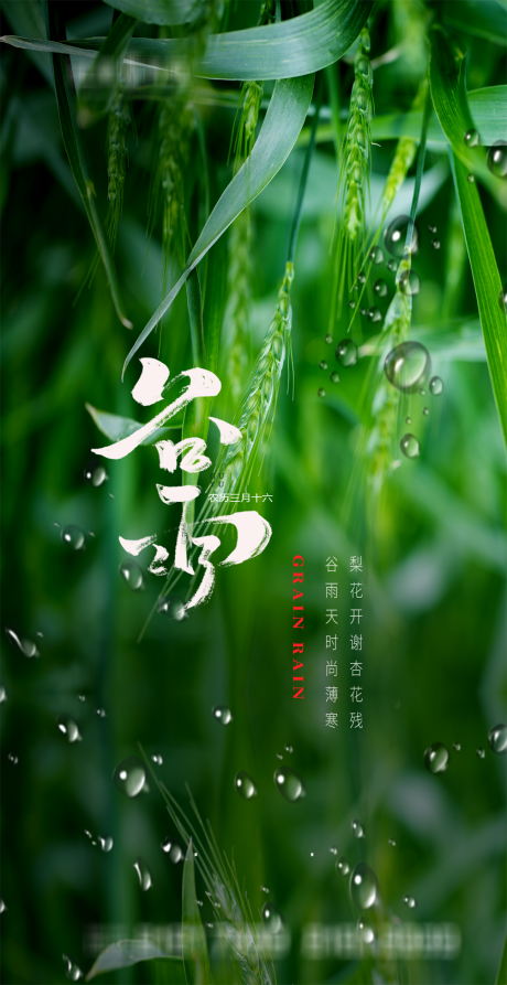 源文件下载【谷雨节气海报】编号：57500003990739053