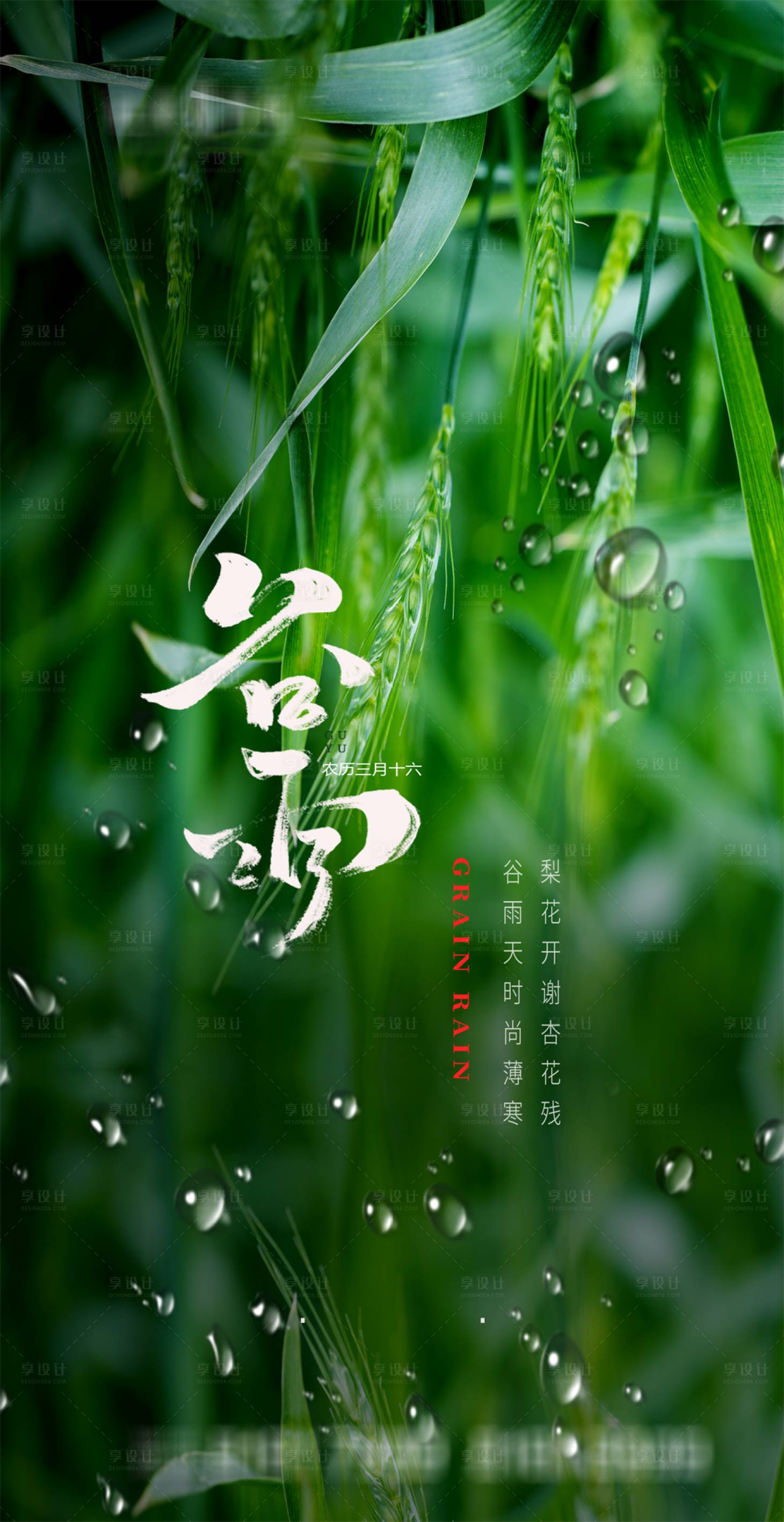 源文件下载【享设计】搜索编号：57500003990739053【谷雨节气海报】