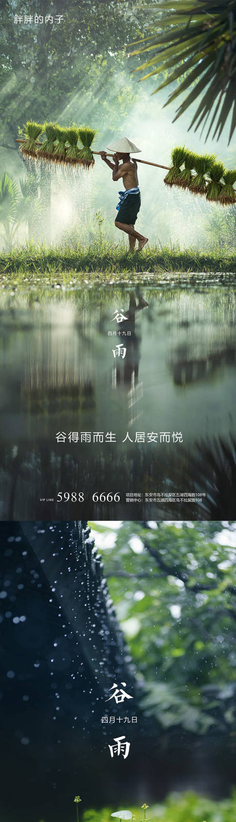 源文件下载【享设计】搜索编号：79690003941234315【谷雨节气系列海报】