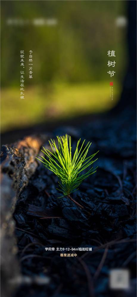 源文件下载【植树节海报】编号：89240003799253321