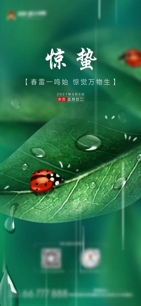 源文件下载【享设计】搜索编号：12210003719802576【惊蛰海报】