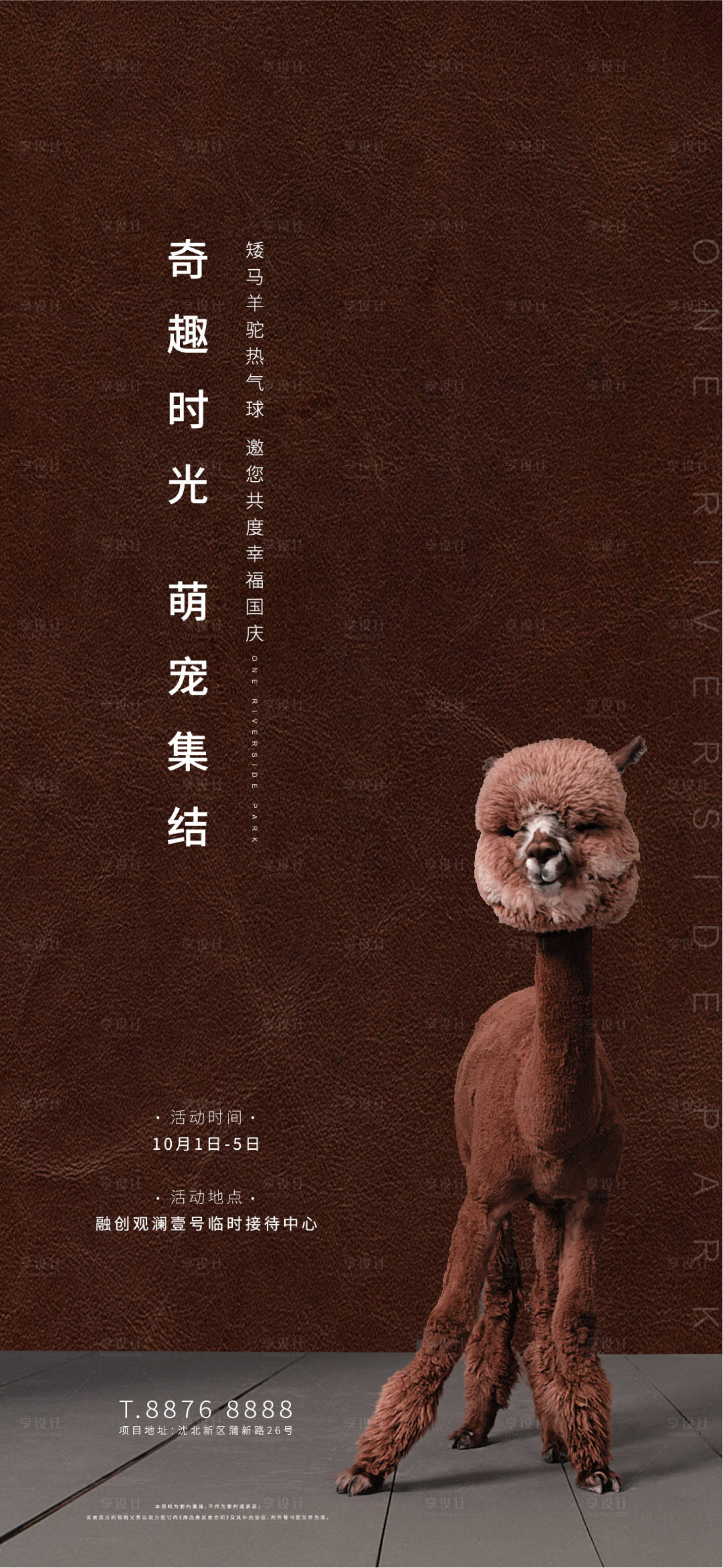 源文件下载【萌宠活动海报】编号：57270003925584718