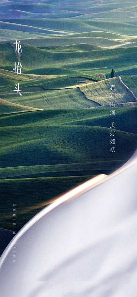 源文件下載【享設(shè)計(jì)】搜索編號(hào)：13540003835093595【地產(chǎn)龍?zhí)ь^海報(bào)】