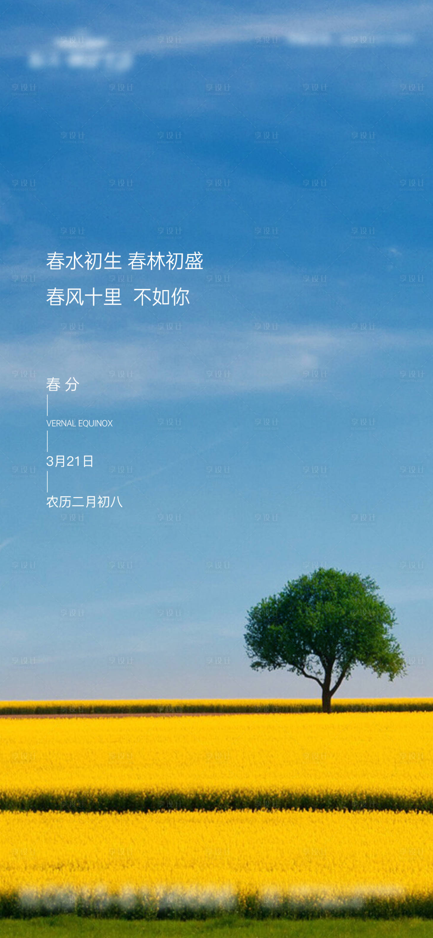源文件下载【春分节气海报】编号：99240003893566197